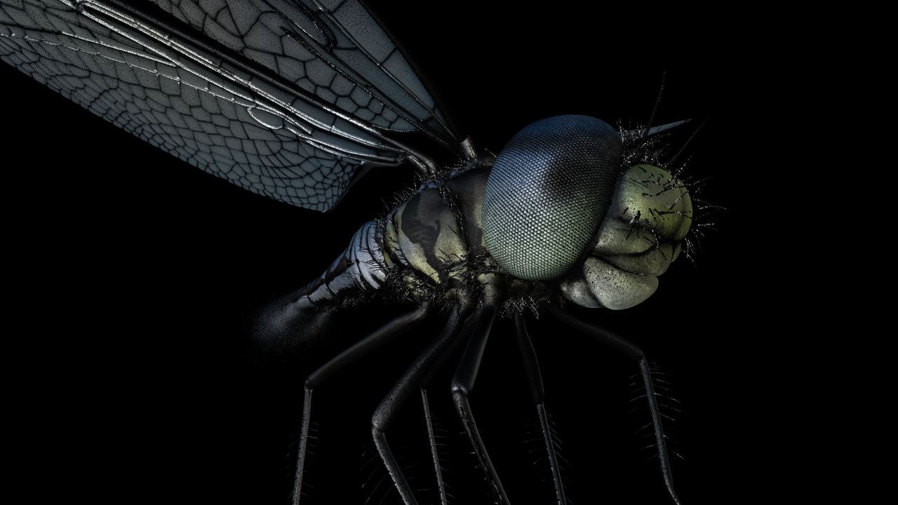 A mosquito, a dragonfly, a frog and an owl all have evolutionary adaptations to see our world very differently, including seeing CO2 or at hundreds of frames per second.