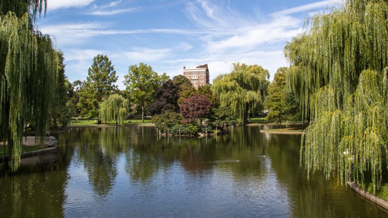 <strong>July in Boston: </strong>Take a break from the summer heat in Boston Public Garden, a verdant oasis in the city.