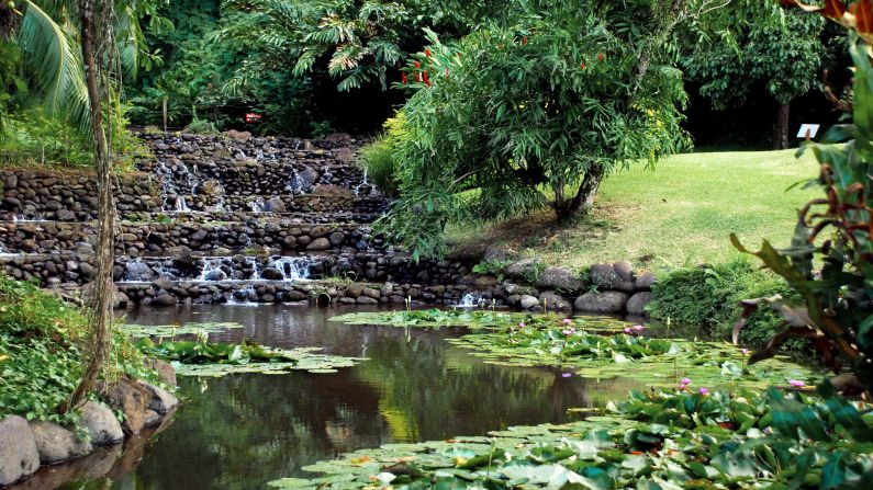 <strong>July in Tahiti:</strong> It's not just the ocean that's beautiful here. Take a respite at a lake in Vaipahi Gardens.