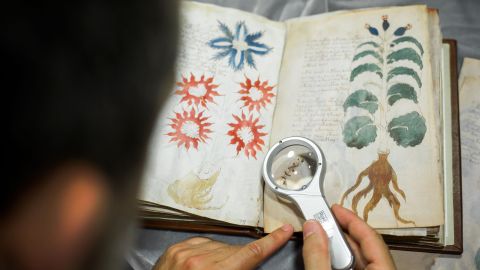 Examining images from the manuscript.