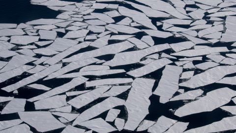 Antarctica has seen a reduction in the extent of floating ice shelves.