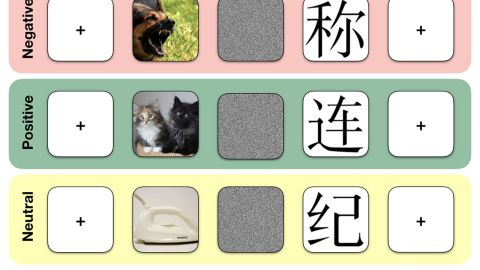 Each trial consisted of either a randomly selected negative, positive or neutral emotional image, meant to serve as emotional context, followed by a randomly selected Chinese pictograph, meant to be ambiguous to English speakers. Participants then used their gut feelings to judge whether the ambiguous pictograph meant something unpleasant, pleasant, or neutral.