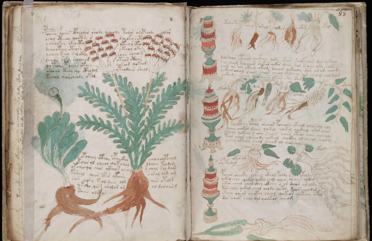 This medieval manuscript has provoked speculation since it turned up in a bookshop a century ago. Written in an unreadable script, it includes illustrations of plants, women and astrological symbols.<br />