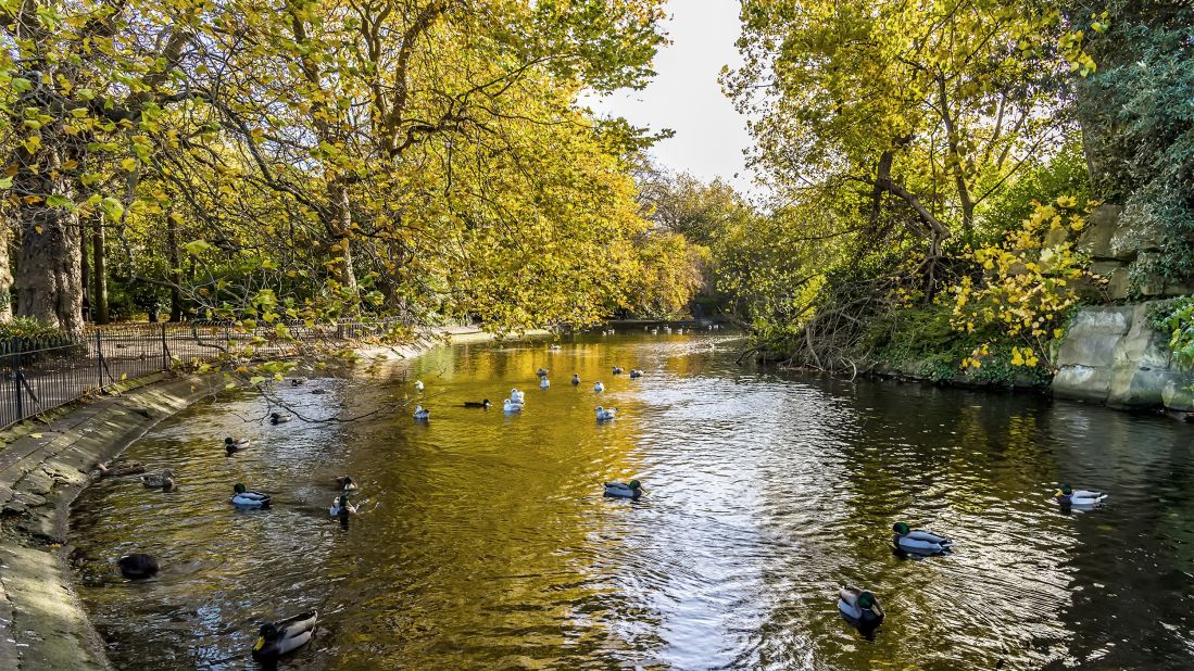 <strong>St. Stephen's Green:</strong> Ducks enjoying a bright day in the green, a quiet oasis amid the hustle and bustle of central Dublin. It's an easy walk from here to many major attractions.