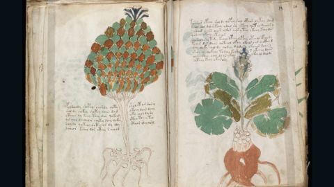 Some of illustrations in the book resemble known plants, others less so.