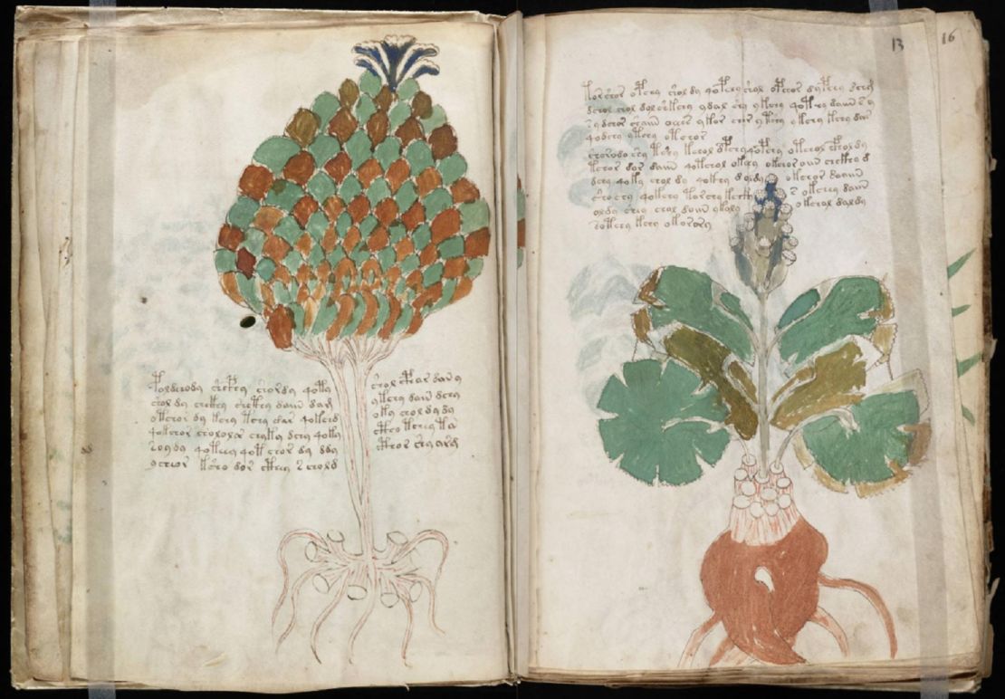 Some of illustrations in the book resemble known plants, others less so.