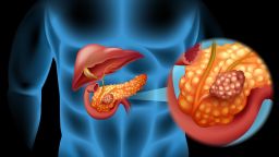The pancreas helps regulate blood sugar by releasing insulin and glucagon. 