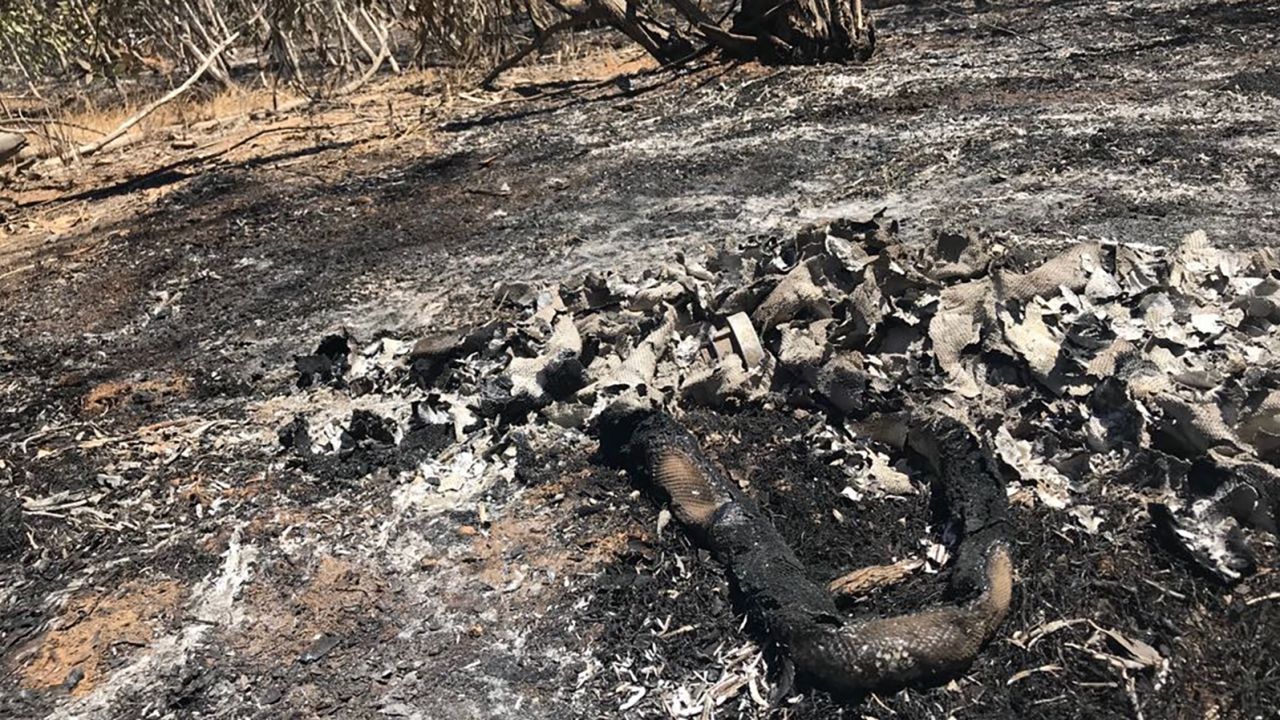 A burnt rubber hose on the ground in Kissufim, close to the Israeli border with Gaza.
