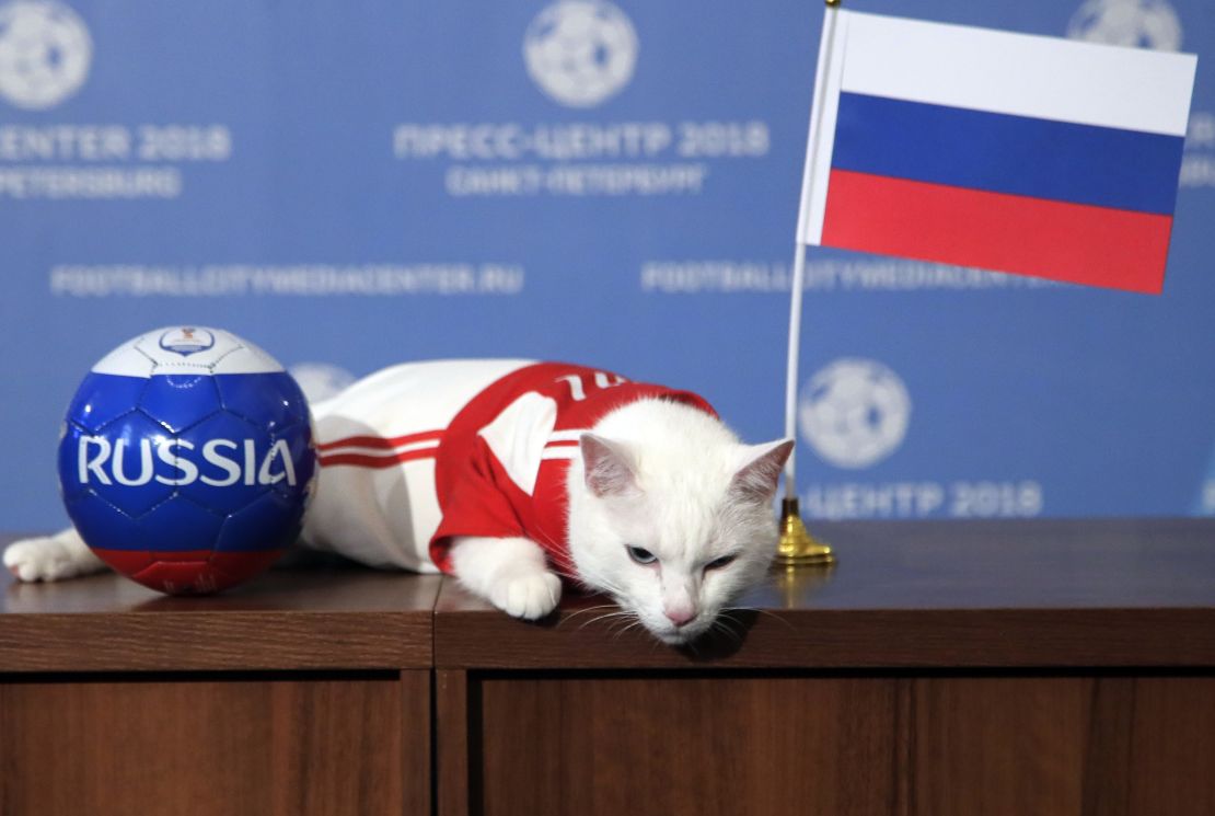 world cup animals