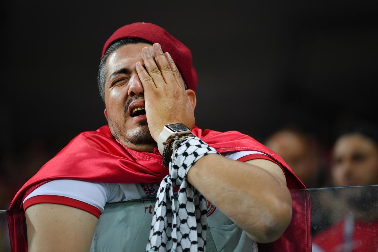A Tunisia fan shows his dejection after the final whistle.