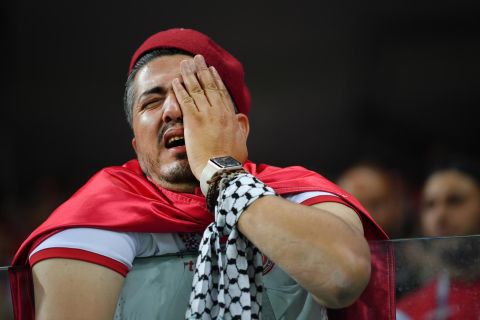 A Tunisia fan shows his dejection after the final whistle.