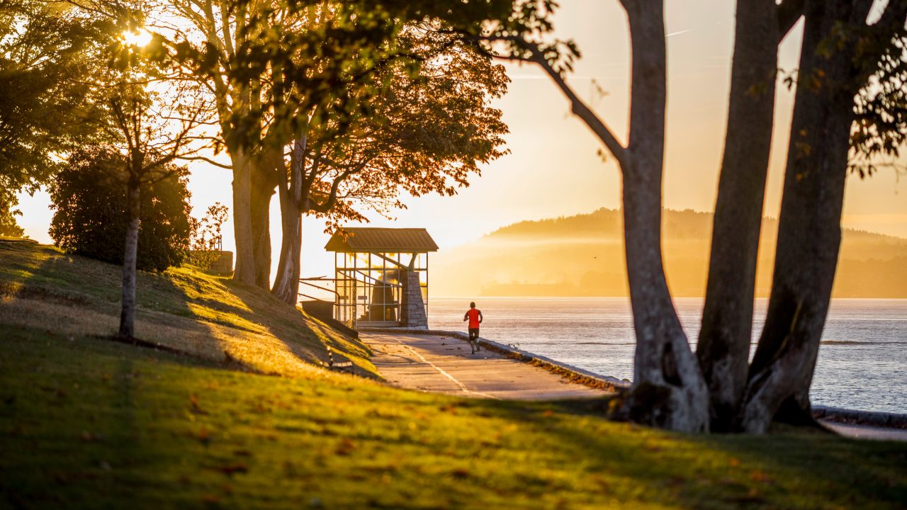 Stanley Park covers 1,001 acres, making it larger than New York's Central Park.