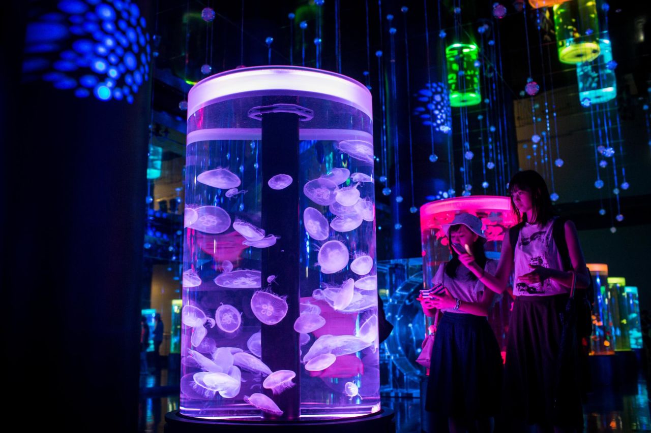 The EPSON Aqua Park Shinagawa in Tokyo, Japan, features animals and fish in neon lights, touch screens and audiovisual shows. 