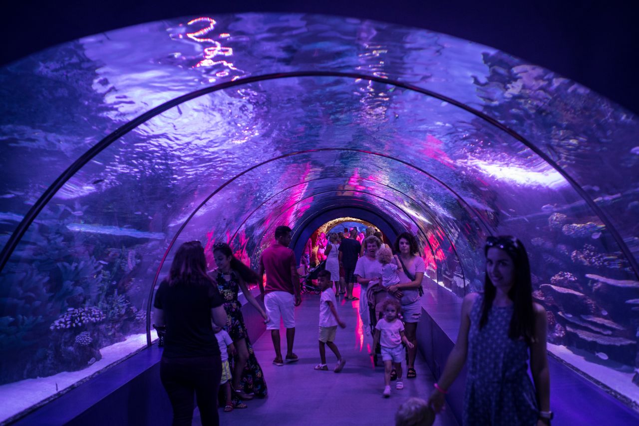 Creating naturalistic environments, whether through rocks or artificial coral, is central to the art of aquarium design. But, in recent decades, it has been the advanced engineering capabilities of clear acrylic -- a material strong enough to withstand the water pressure produced by millions of gallons of water -- that has set designers on a quest for total immersion.