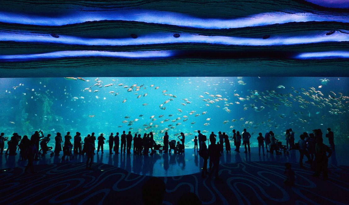 The aquarium at the five billion USD Chimelong Ocean Kingdom holds a stupendous 49 million litres of water.