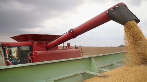 Soybean farming in the United States, which typically supplies more than third of China's soybean imports. 