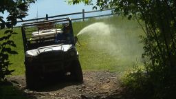 Ivy Oaks Analytics sprays insecticide at Indian Head Camp in Equinunk, Pennsylvania.