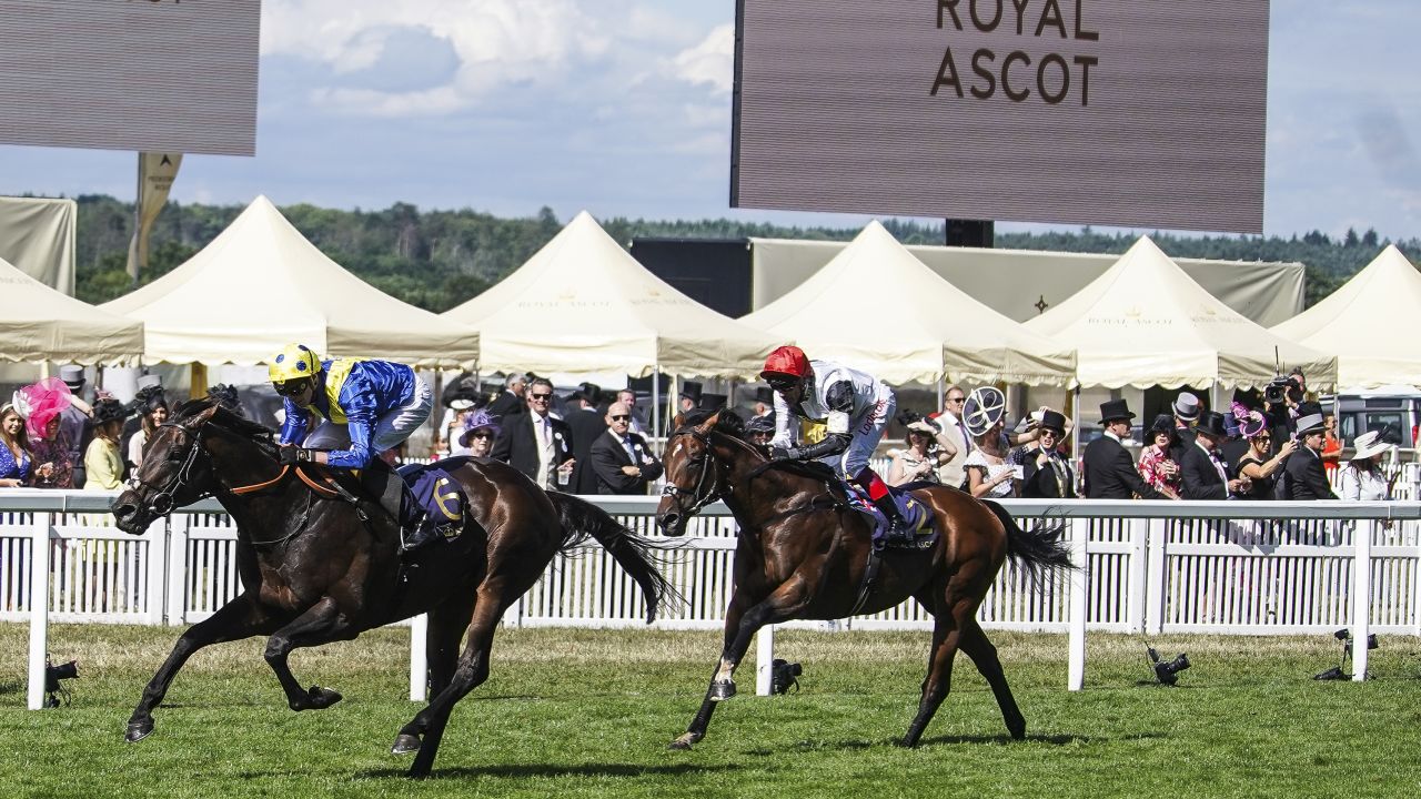 ASCOT, ENGLAND - JUNE 20:  James Doyle riding Poet's Word (L) win The Prince of Wales's Stakes from Cracksman (R) on day 2 of Royal Ascot at Ascot Racecourse on June 20, 2018 in Ascot, England. (Photo by Alan Crowhurst/Getty Images for Ascot Racecourse)
