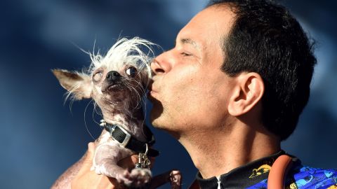 Rascal Deux, a Chinese crested, gets a kiss from owner Dane Andrew during the contest, which saw 15 dogs vying for the title of the competition's homeliest. 