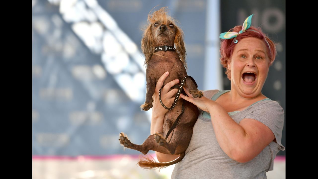 Heather Wilson holds up her dog, Himisaboo, a Chinese crested-Dachshund mix, during the World's Ugliest Dog Contest. 