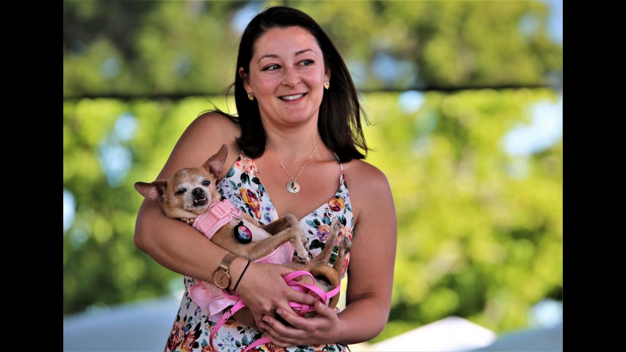 At 14 years old, Daisy is one of the elder stateswomen of the competition (that's 98 in dog years). Here owner Whitney Sherman cradles her codger Chihuahua mix.