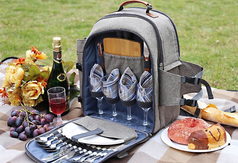 next picnic backpack