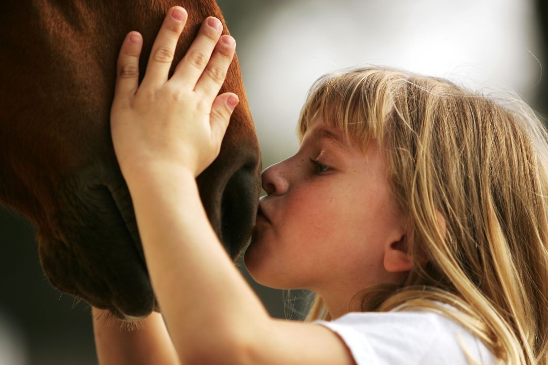 Another report found that horses were able to read and remember a person's emotional expressions.