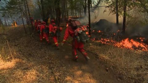 Firefighters on the ground take on the growing flames.