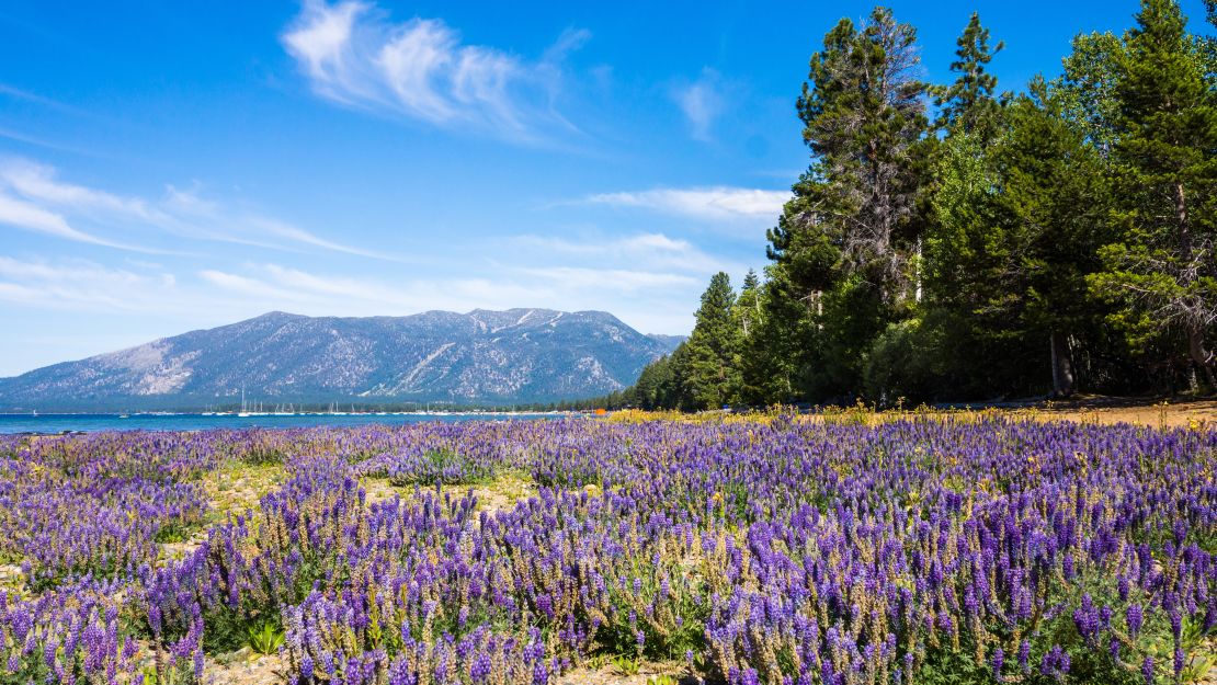 North Lake Tahoe has seen a surge of visitors to the small mountain town, leading the tourism destination to ask people to stay home and travel again when it's safe and viable.