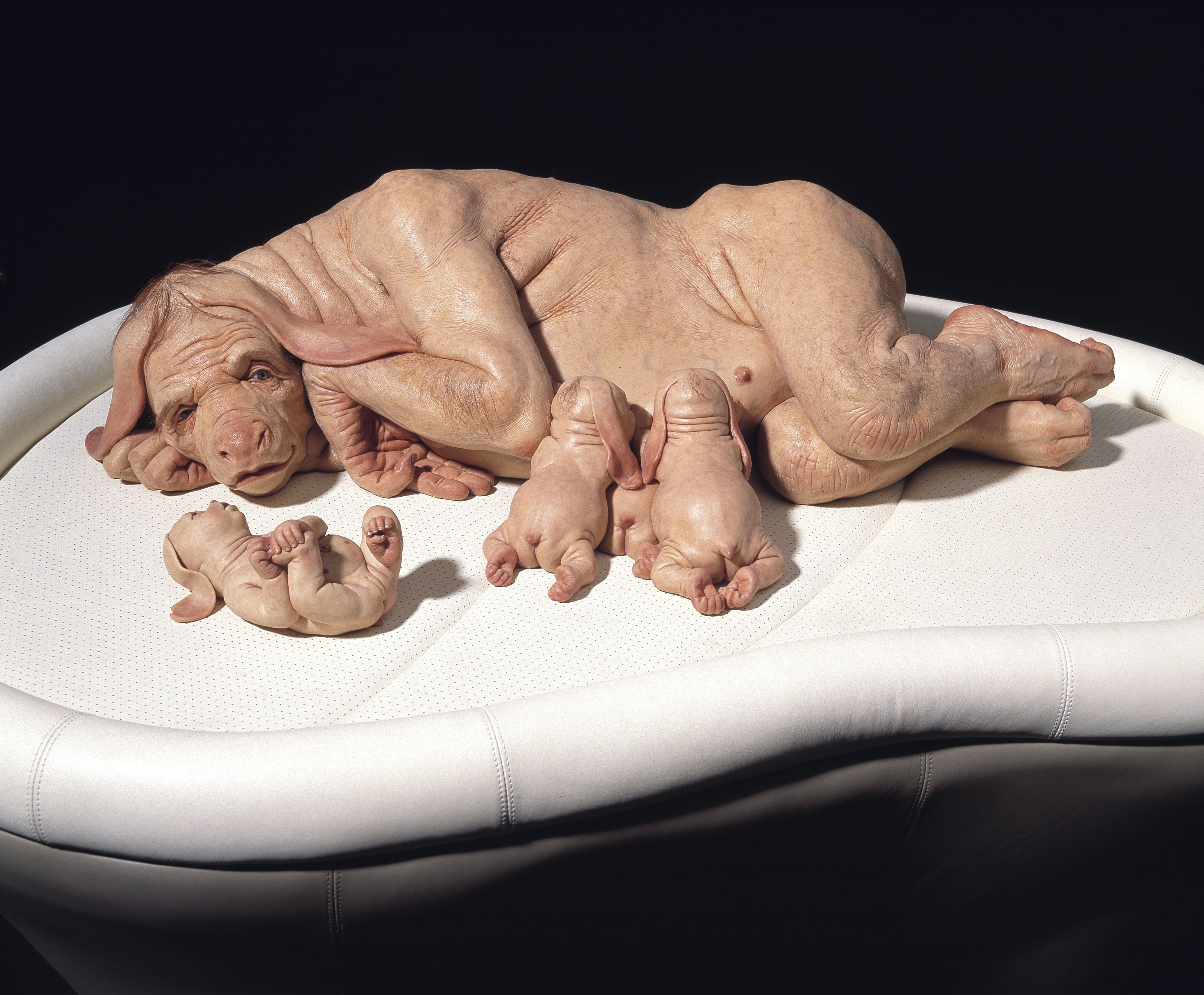 With affection and humour, Patricia Piccinini probes the boundaries of  human and other | CNN