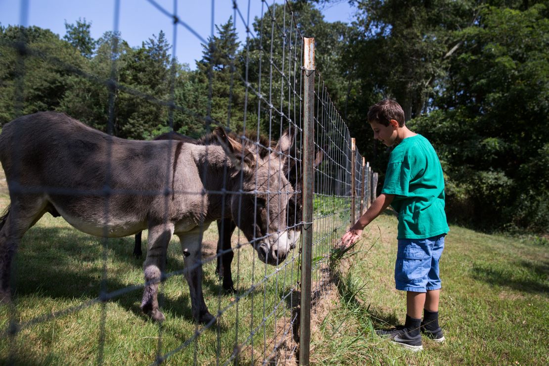 The family tries to provide Trevor with as "normal" a life as possible. Here, Trevor visits donkeys on a family outing at a nearby farm. 