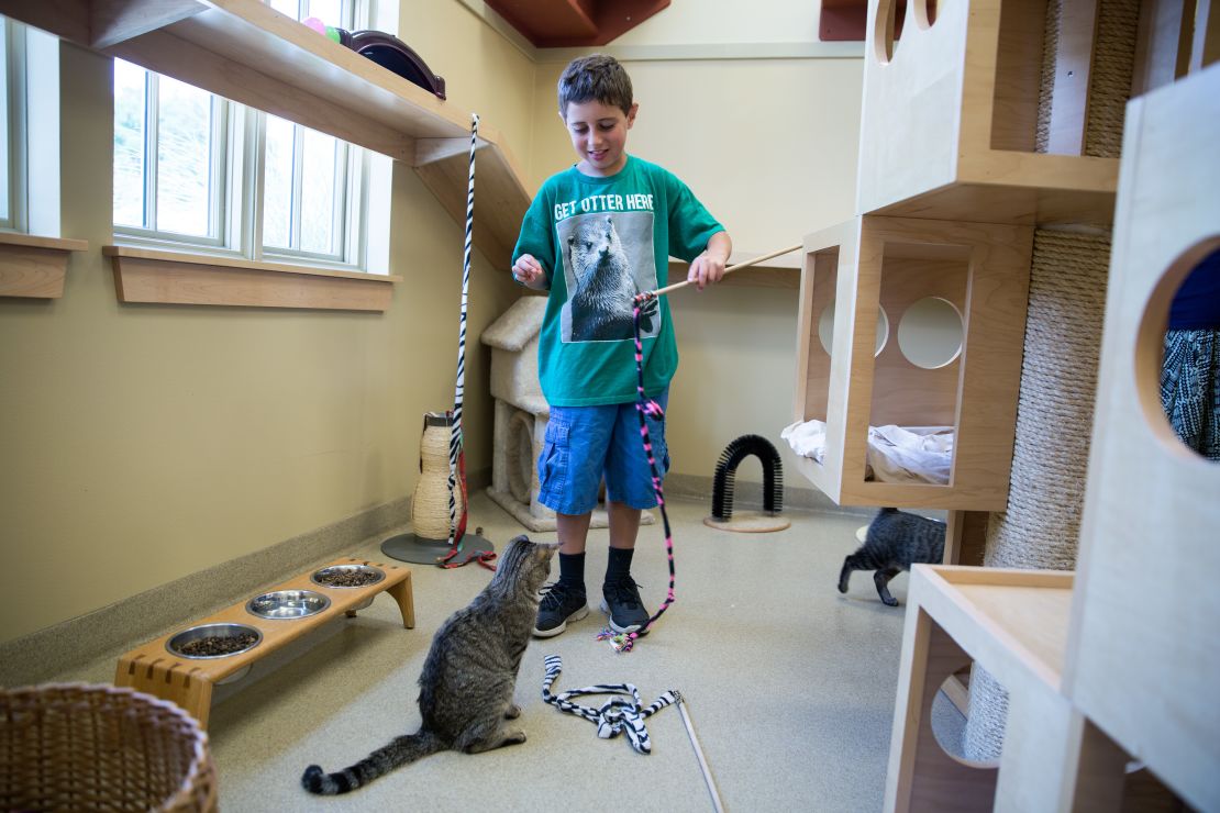 On Saturdays, Trevor and a medical aide often visit an animal shelter and farmer's market to help him socialize and interact with others. 