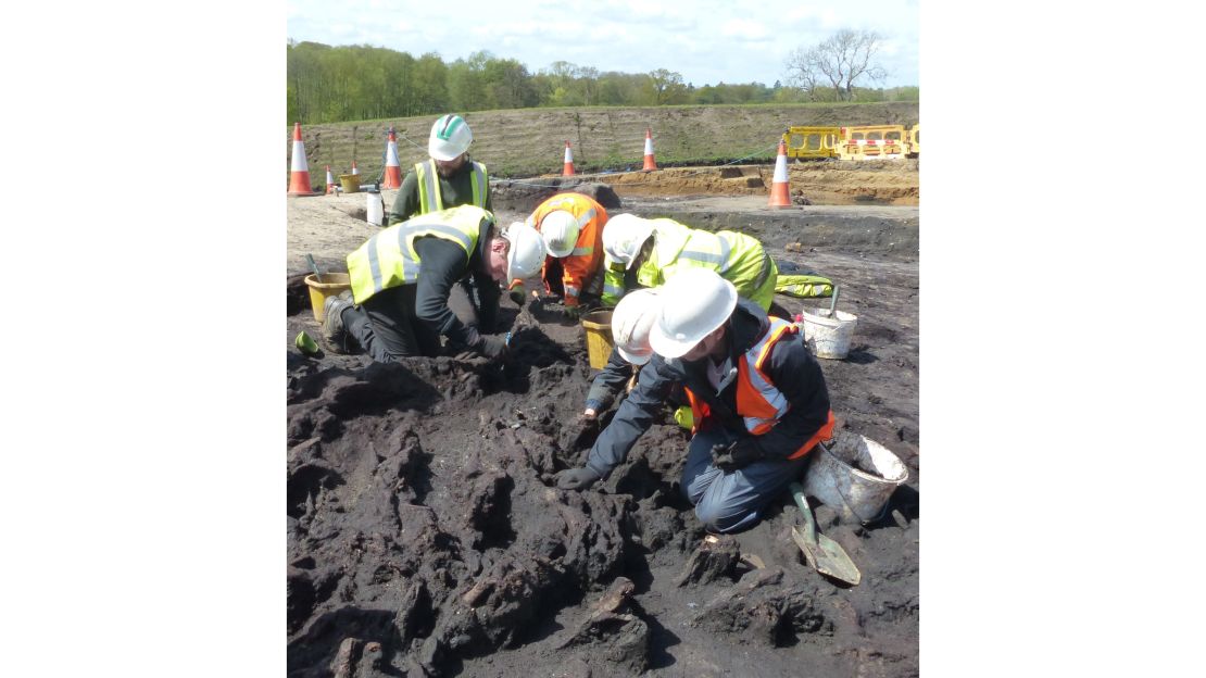 Archeologists working at the site in Suffolk.