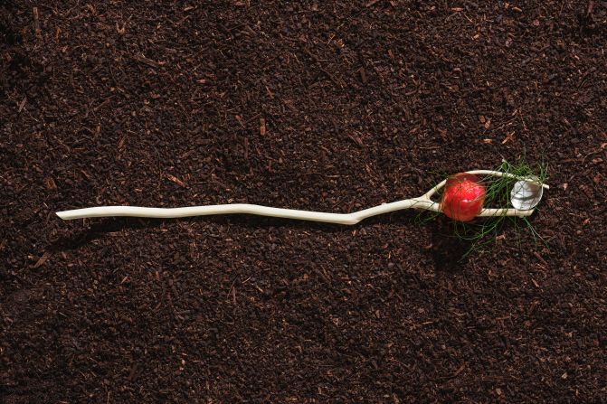 Raspberries served on Twig Spoon by <a href="index.php?page=&url=https%3A%2F%2Fsharonadams.co.uk%2F" target="_blank" target="_blank">Sharon Adams</a> at the Experimental Gastronomy event in June 2018.