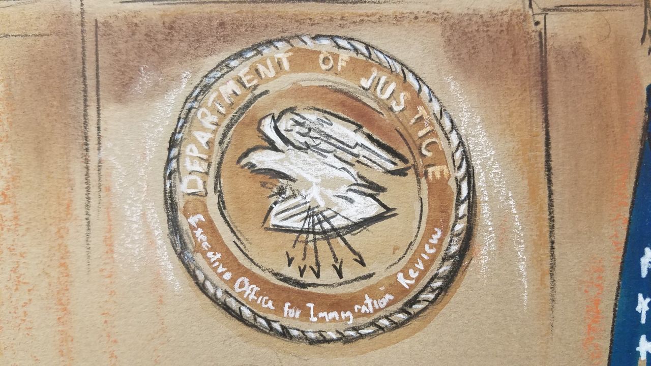 Department of Justice immigration court seal. While all the children in Bryant's courtroom on this afternoon had attorneys, the Arlington Immigration Court is not typical of the country, where closer to 1-in-3 children are represented in court. Bryant was also generous with the continuances requested by attorneys as they waited to hear from the government on applications for other visas for the children, despite uniform opposition by the government attorney in court.