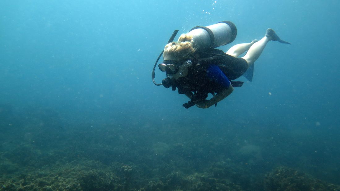 <strong>Scuba diving in Cartagena: </strong>Just a short boat ride away from Cartagena, Isla Tierra Bomba is a jumping off point for scuba diving.