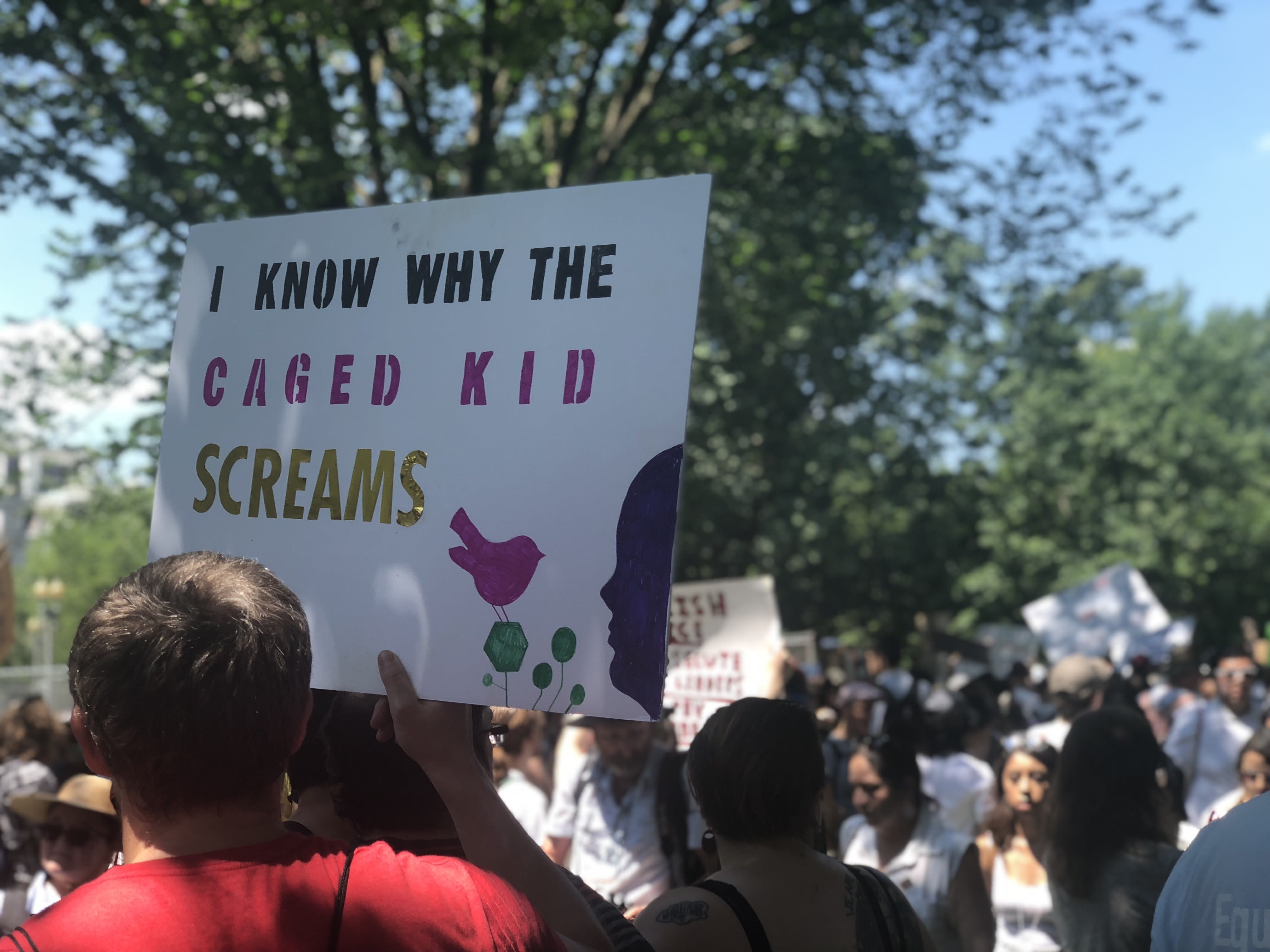 immigration protest signs