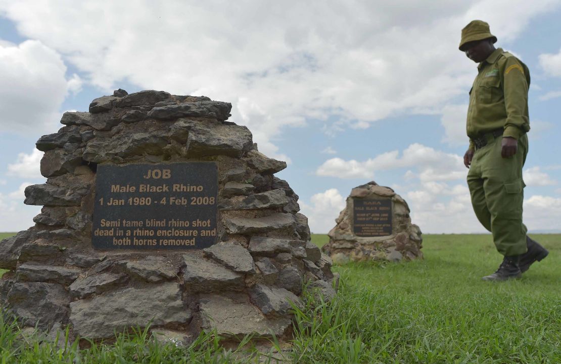 Jeremiah Kimathi, one of the dedicated rhino caregivers at the ol-Pejeta conservancy, walks among the graves of rhinos in Nanyuki, north of Nairobi.