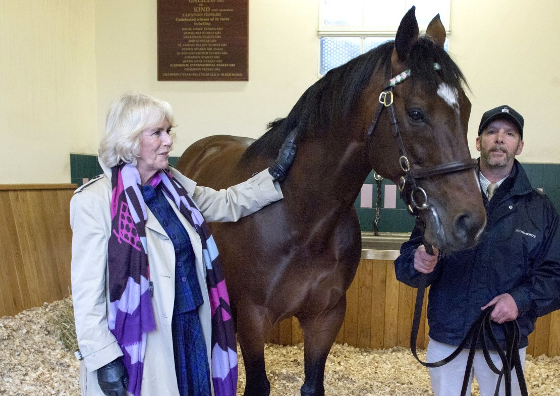 Camilla, Duchess of Cornwall, met Frankel and stallion man Rob Bowley at Banstead Manor Stud in 2017.