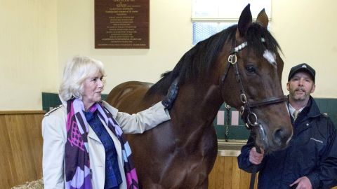 Camilla, Duchess of Cornwall, met Frankel and stallion man Rob Bowley at Banstead Manor Stud in 2017.