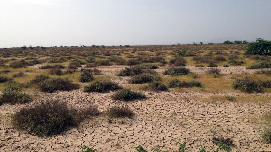 <strong>The grasslands:</strong> "The Banni wetlands (on the southern corner of the Great Rann) are stark and rugged, with vast tracts of deeply cracked earth and rocky outcrops of sedimentary sandstone whose layers glow orange and pink in the first and last lights," says Bhujwala. 