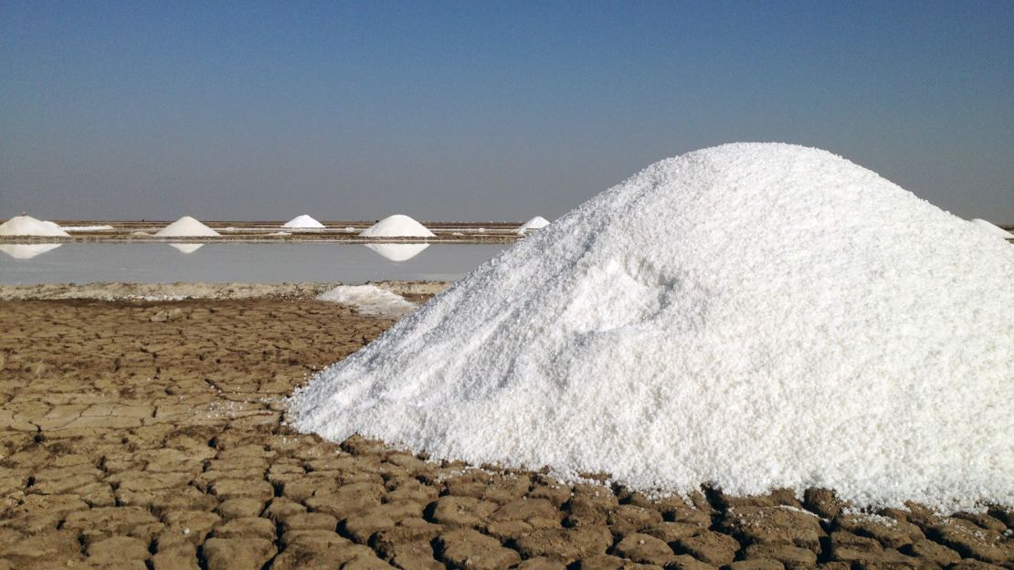 The Little Rann is a hub of salt production, accounting for 25% of India's supply.