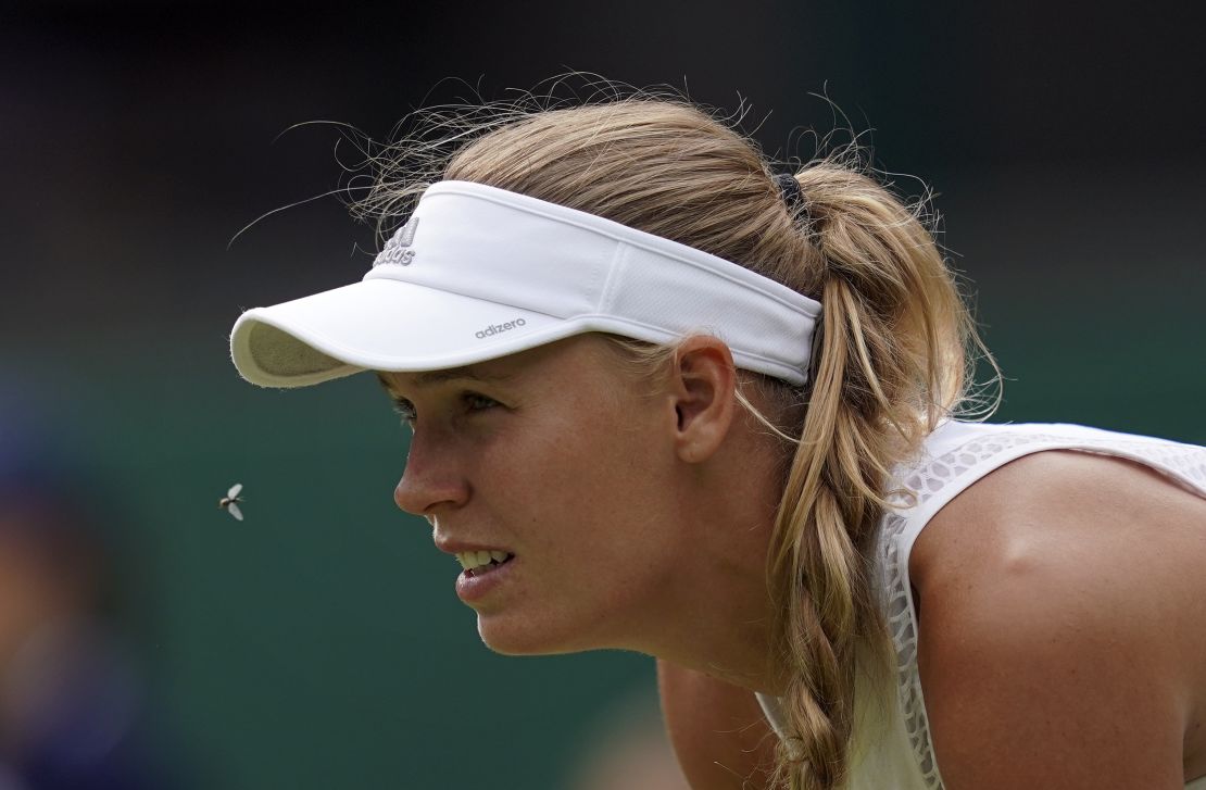 Wozniacki was surrounded by flying ants during her match against Ekaterina Makarova.