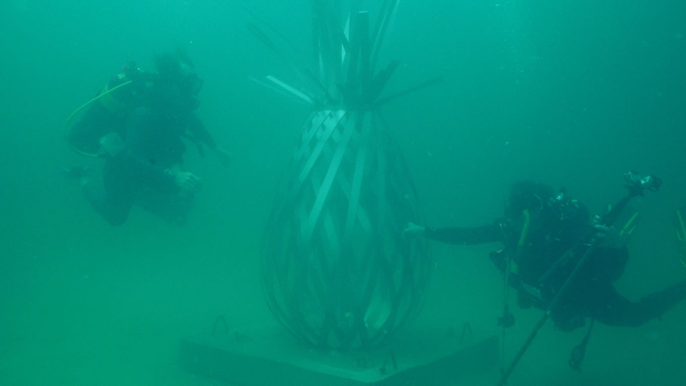 <strong>Changing exhibit</strong>: The sculptures will be added to annually: "It truly is a living, breathing, thriving museum that'll be different every time you dive, because there'll be different aquatic species present every time you dive," says McAlexander. "It fundamentally changes literally moment by moment."