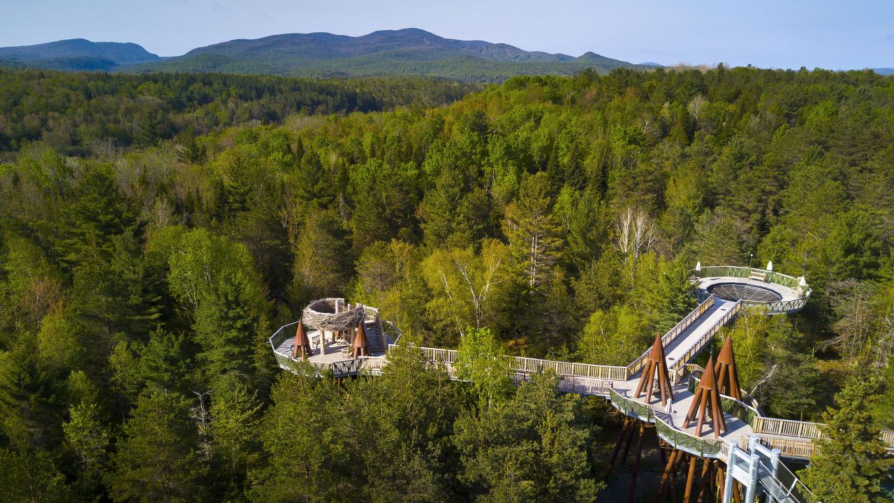 An aerial view of Wild Walk at The Wild Center.