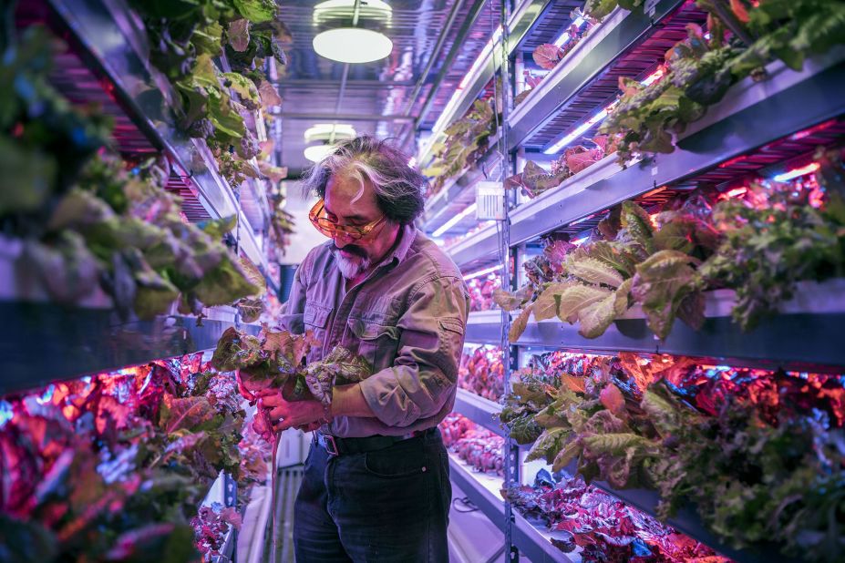 Crops in vertical farms are grown in controlled environments with a nutrient solution instead of soil, and LED lighting instead of sunlight.   