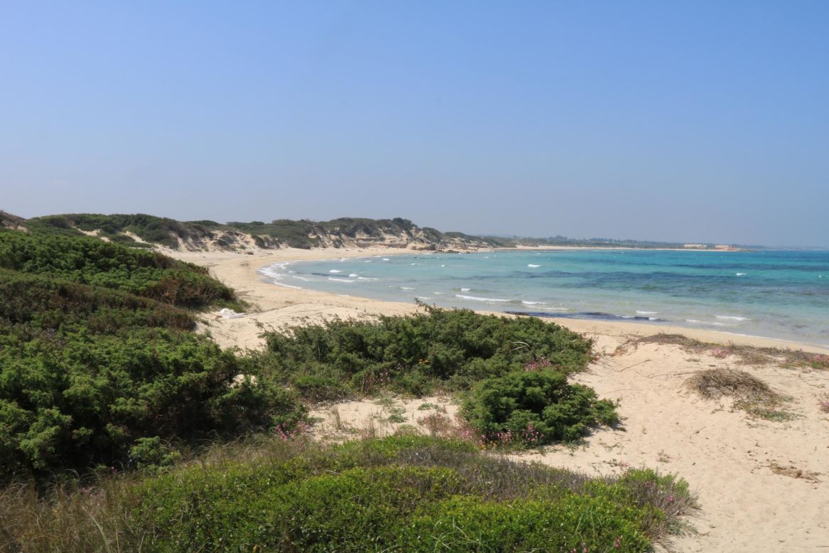 <strong>Torre Guaceto:</strong> This beach features the crumbling ruins of a medieval irate lookout tower.