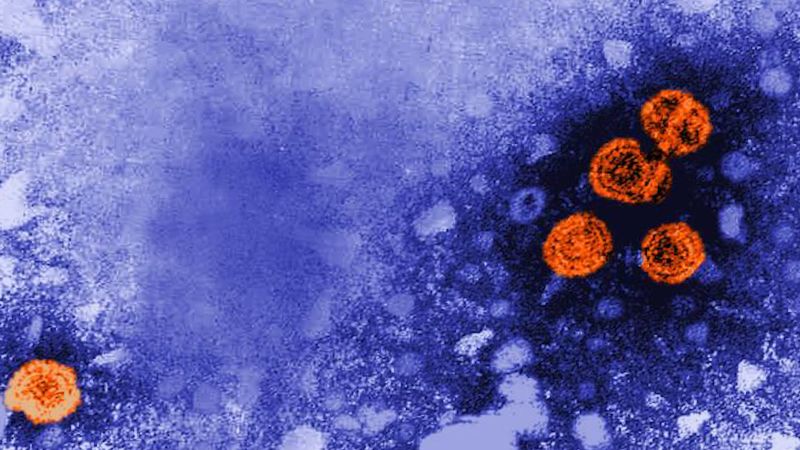 There is a hepatitis A outbreak in LA County. Why you need to know