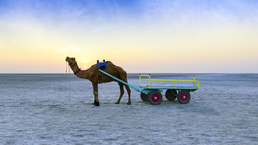 Rann Of Kutch: Top Things To Do At India's Largest Salt Desert