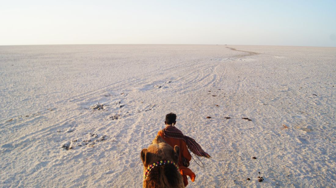 Should you visit the White Rann of Kutch at all?